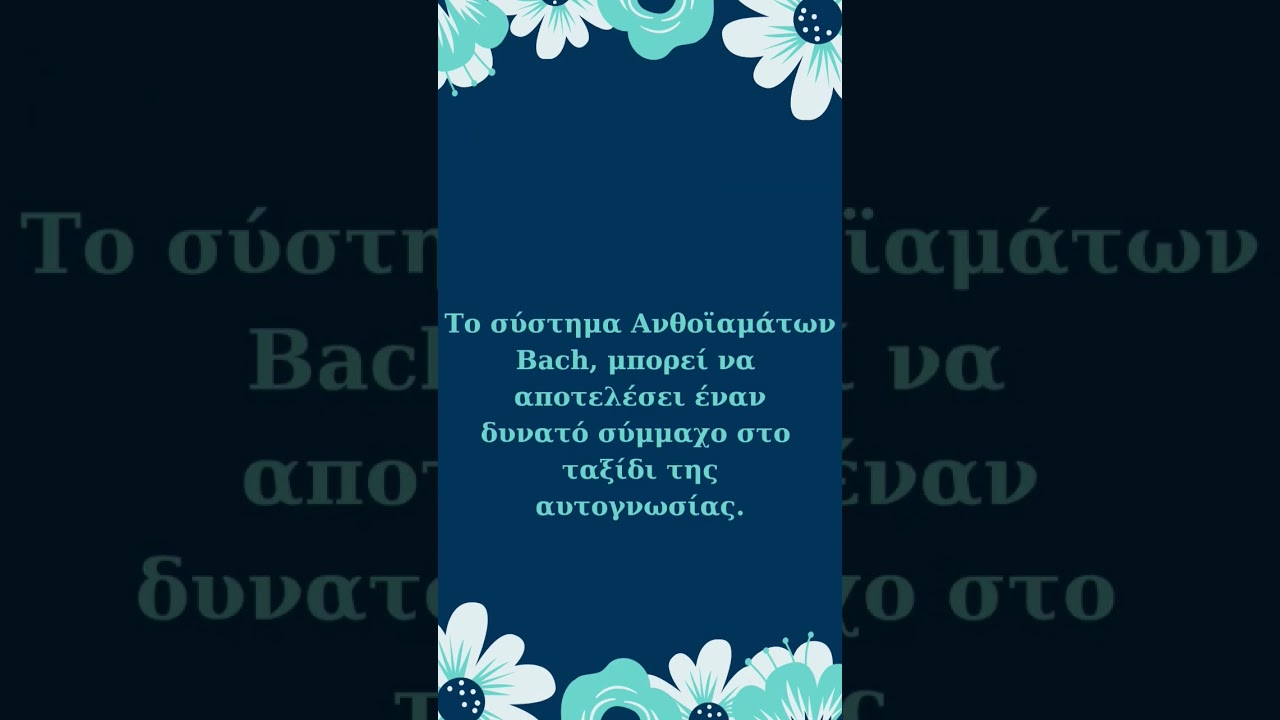 365 νέες επιλογές! 