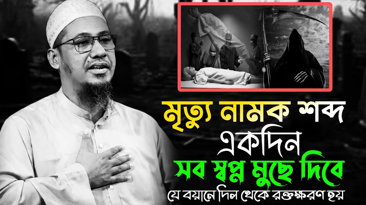 মৃত্যু নামক শব্দ | একদিন সব স্বপ্ন মুছে দিবে 😭| আনিসুর রহমান আশরাফি নতুন ওয়াজ ২০২৫ | Anichur 