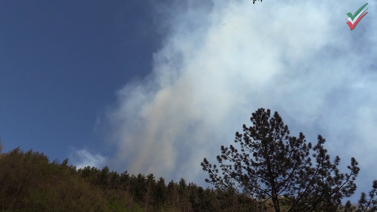 Waldbrand: Feuerwehr-Großeinsatz bei Hagen-Ambrock - plus Feuerwehren aus MK und EN und Hummel 4