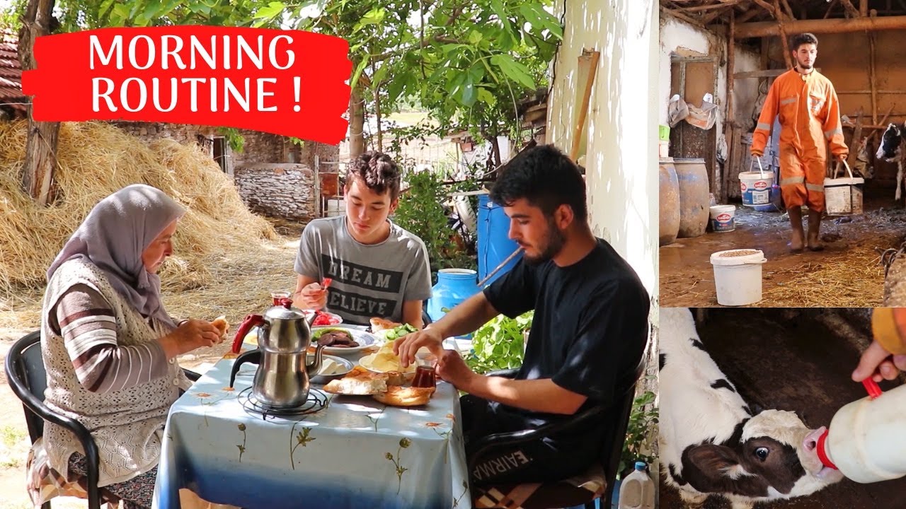 FARM MORNING ROUTINE ! ( Village Life in Turkey )