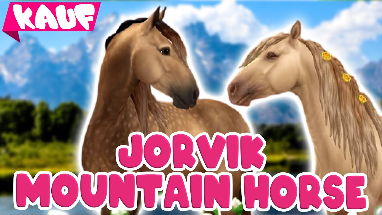Karma | JORVIK MOUNTAIN HORSE 🐴 PFERDEKAUF 🐴 Star Stable Online