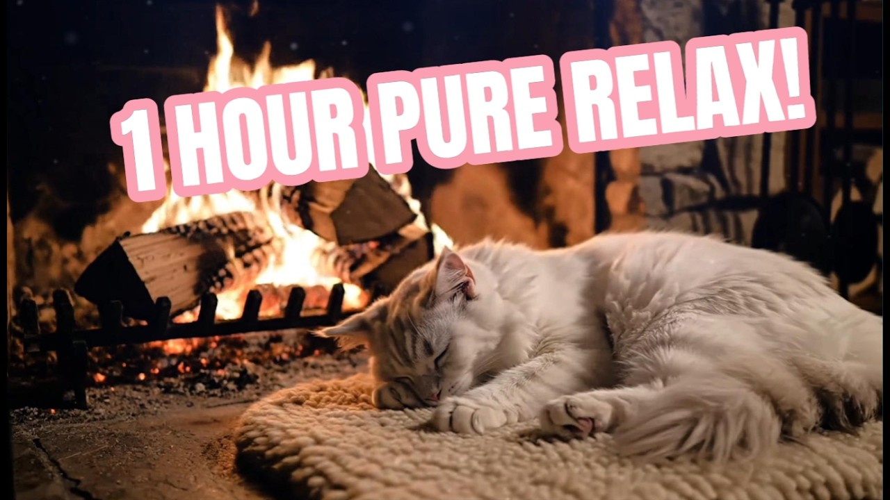 ⋆⁺₊✧😸Cozy Fireplace with Snowie😸✧⁺₊⋆