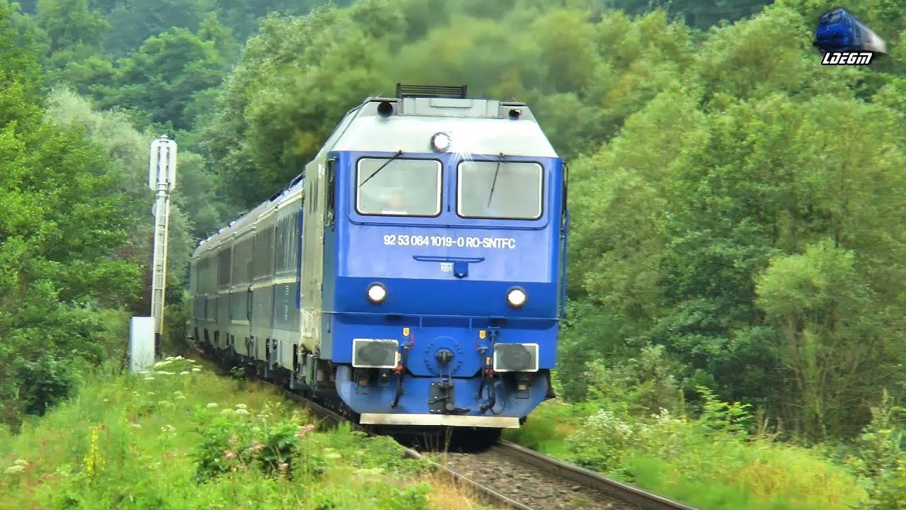 Trenuri in Defileul Crișului Repede/Trains in Crișul Repede Canyon - 26 July 2020
