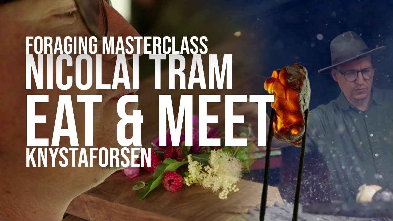 Foraging with Nicolai Tram of Knystaforsen | Eat & Meet