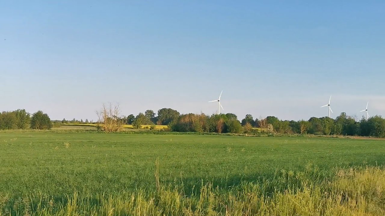 Buvę tarybinio ūkio laukai 2024 (Литовская деревня)