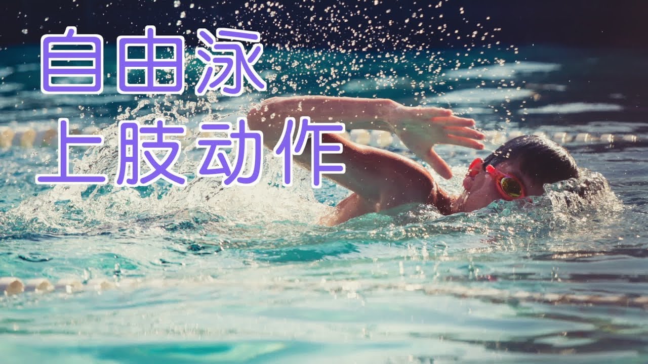 学好自由泳上肢动作的5个关键要点