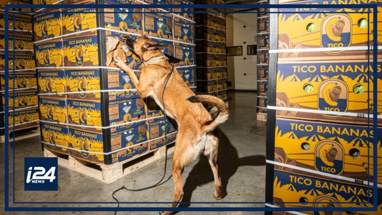 Special report: Israeli K9 unit sniffs out illegal weapons