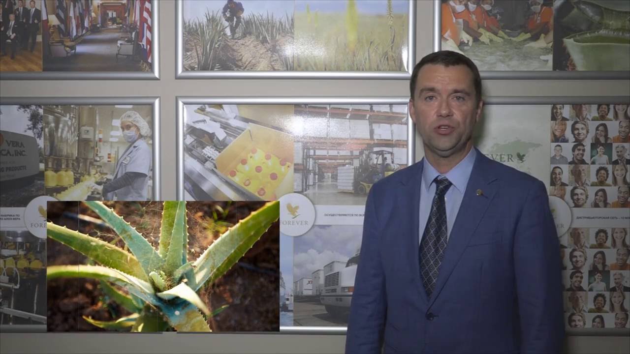 ФОРЕВЕР! Добро пожаловать!