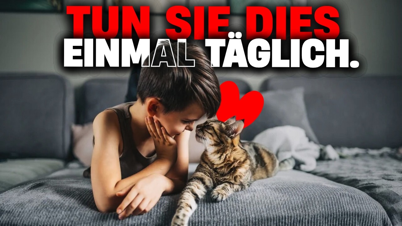 Tun Sie diese 6 Dinge täglich – so wissen Katzen, dass Sie sie lieben
