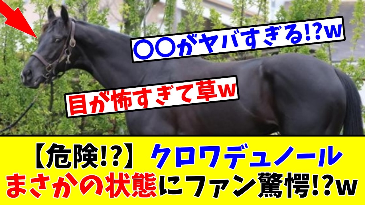 【大阪杯】【危険!?】クロワデュノール、まさかの状態にファン驚愕!?www
