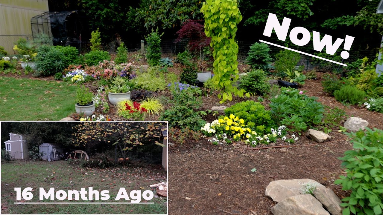 Adding Color to the Garden