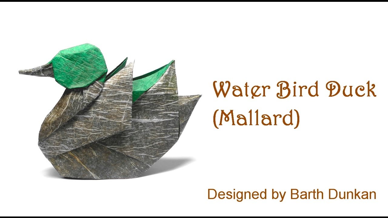 Origami Water Bird Duck - Mallard (Barth Dunkan)