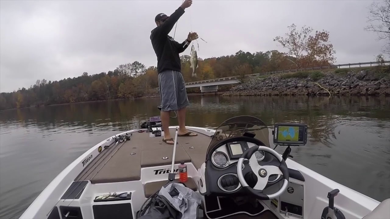 Day two- Alabama Rig Fishing on Lake Chickamauga