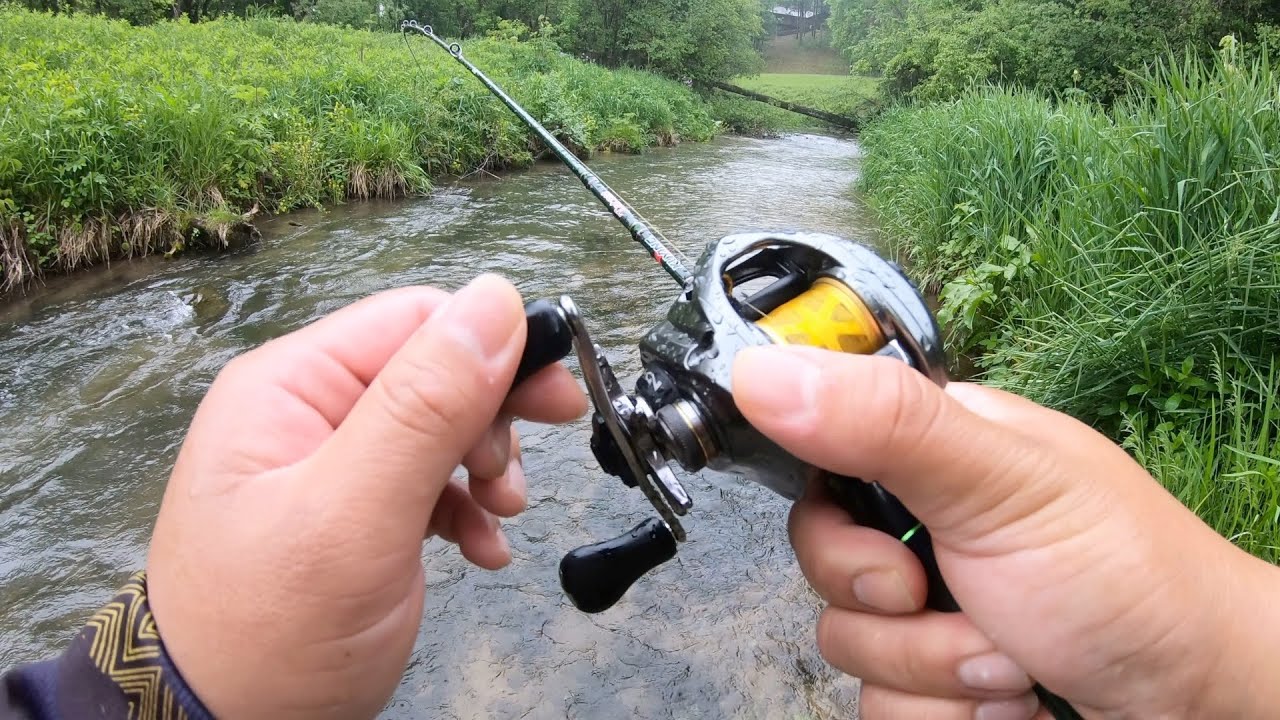 BFS Trout Fishing In MN stream!