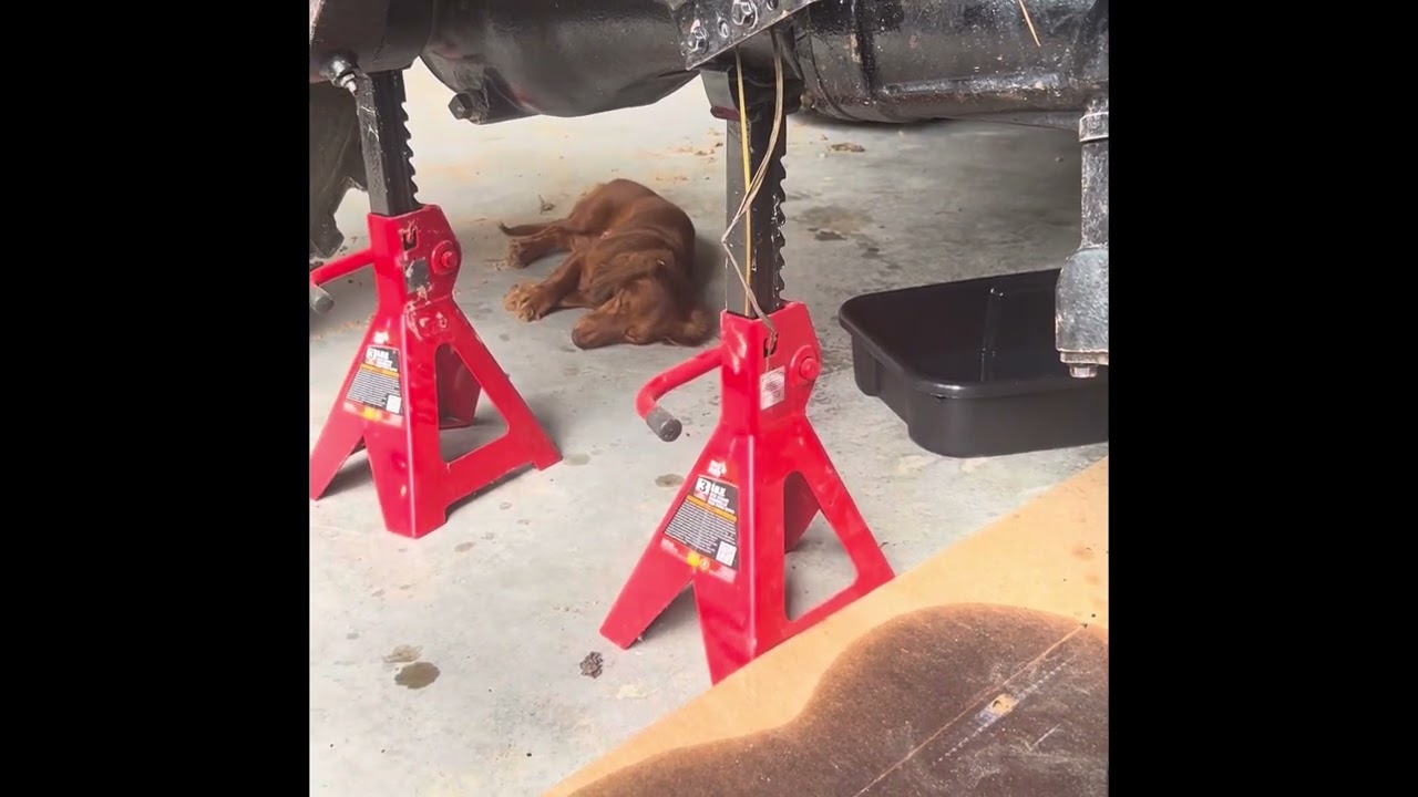 @Hfoutdoorsyt  Thanks for your help!  Mahindra 4540 Wheel Hub rebuild