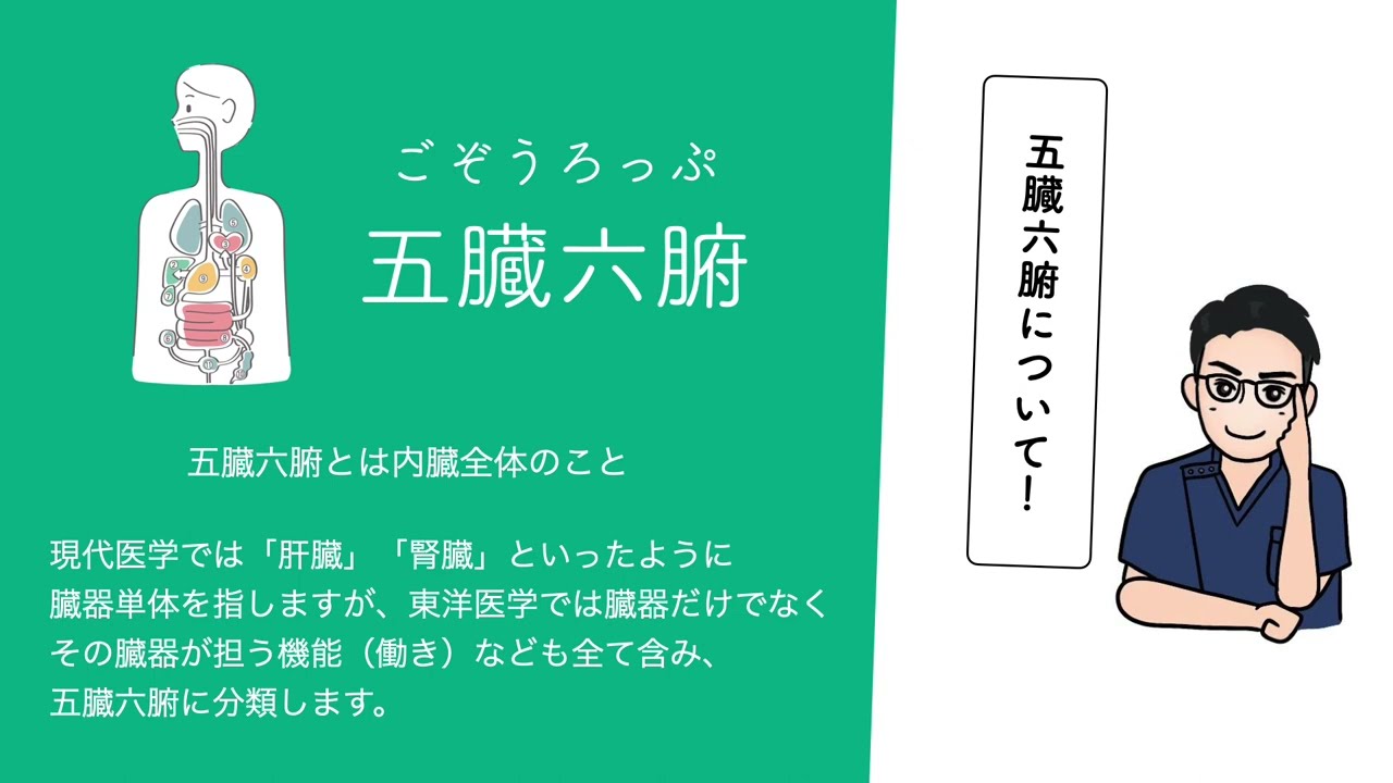 【東洋医学入門】五臓六腑について