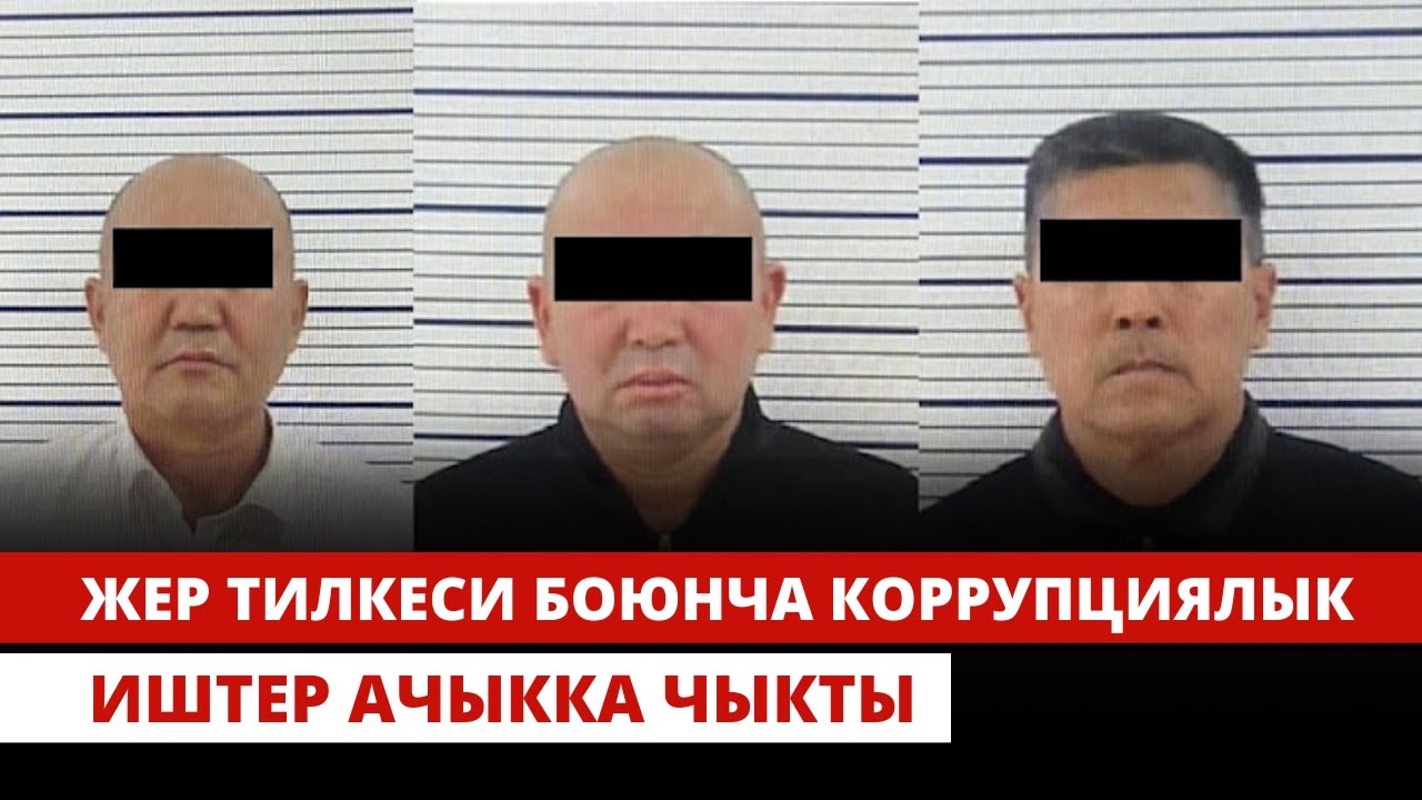 Жер тилкеси боюнча коррупциялык иштер ачыкка чыкты