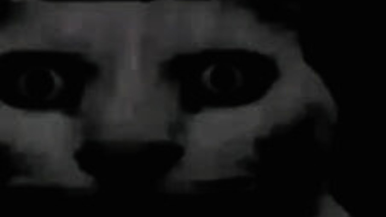 The most Unnerving Distressing images