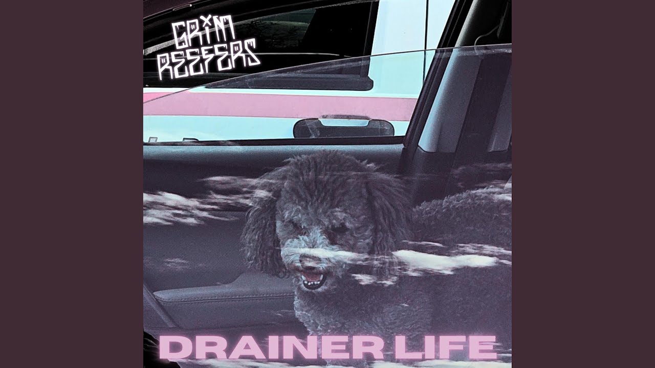 Drainer Life