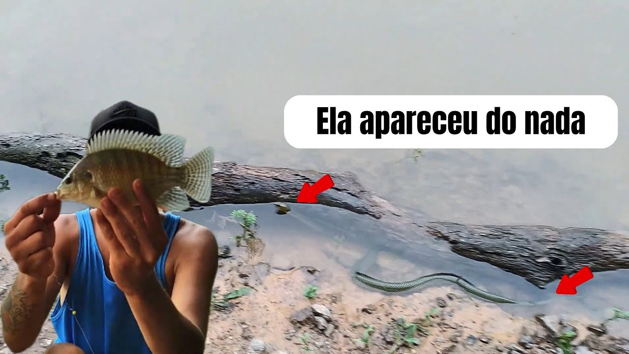 Gelei ! COBRA grande passou no meio das minhas pernas, filmei tudo na Chácara Pesca e Natureza