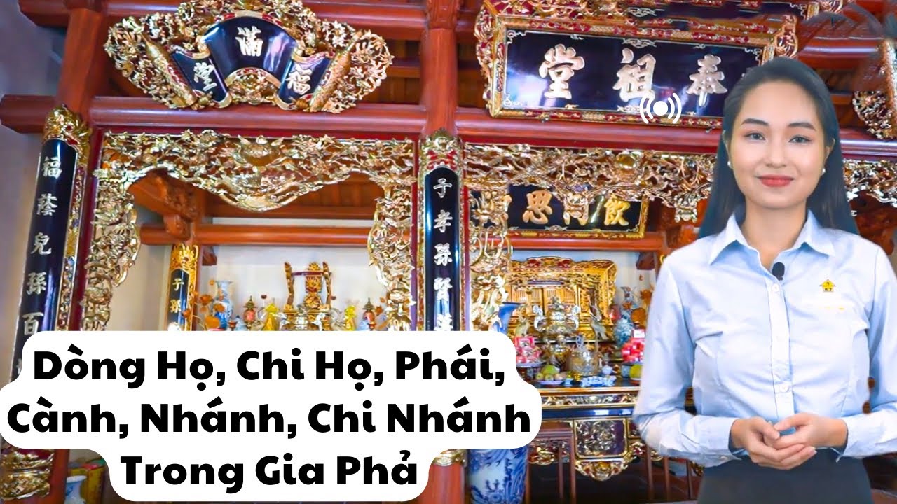 Dòng Họ, Chi Họ, Phái, Cành, Nhánh, Chi Nhánh Trong Gia Phả Là Gì? | Từ Đường Kisato