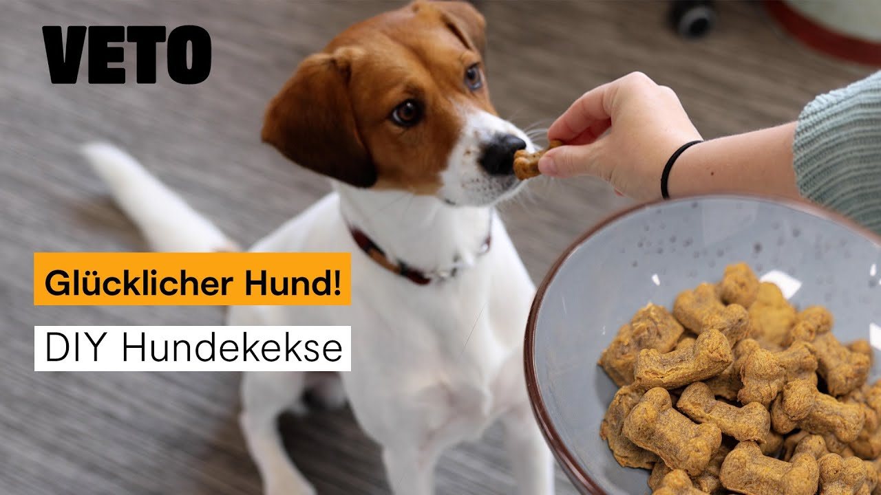 Dein Hund wird es lieben – Hundekekse selber machen