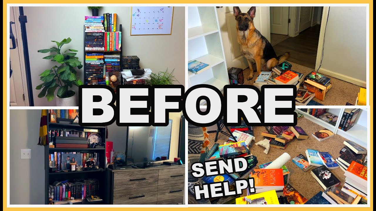 BUILDING MY DREAM LIBRARY PART ONE! || I NEED HELP!! 🤣🤣🤣