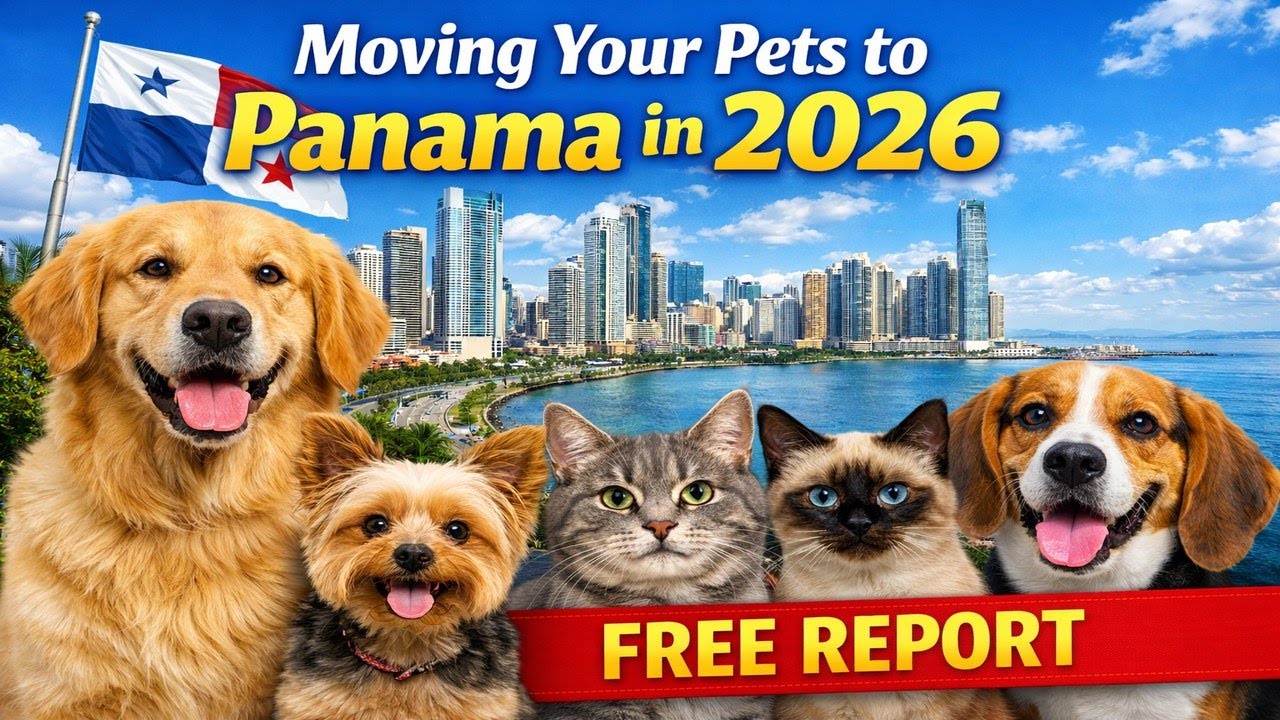 Moving Pets to Panama in 2026  FREE REPORT Plus Q&A
