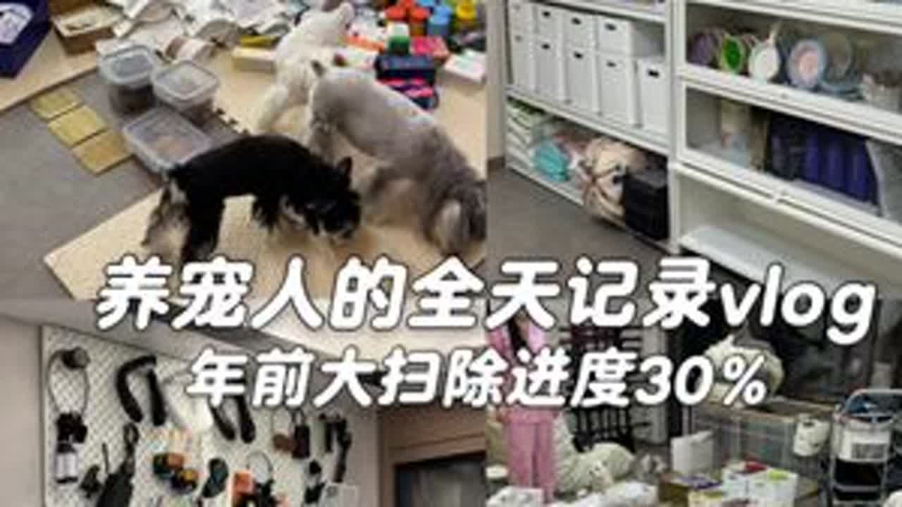 vlog.075 | 姐妹们，两天没更新看我都干啥了，年前大扫除的标准就是一尘不染！这算是宠物博主勇闯家居博主的赛道嘛哈哈哈哈！#vlog日常 #年前大扫除 #大扫除 #解压视频 #打扫卫生