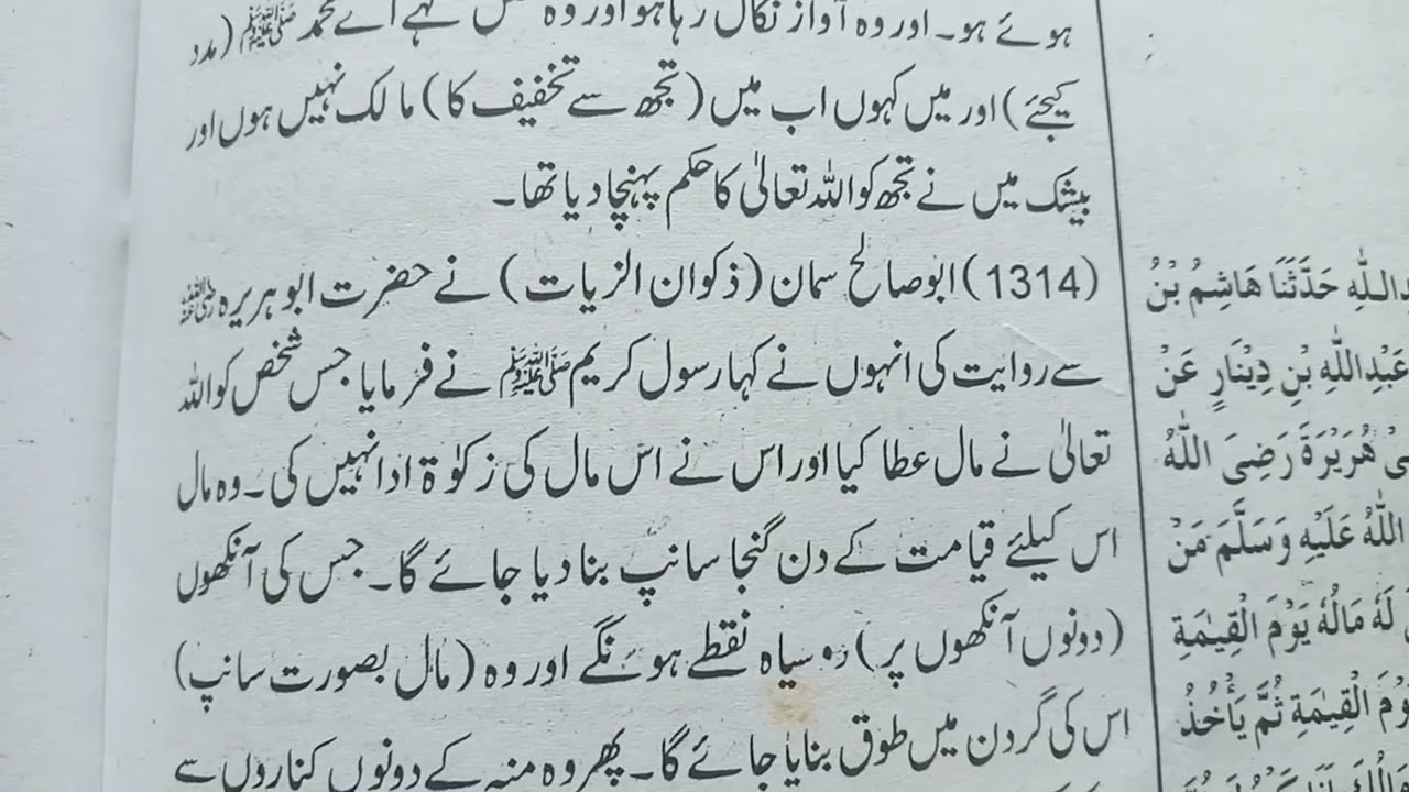 نبی پاک ص و نے فرمایا گنجا سانپ۔۔۔