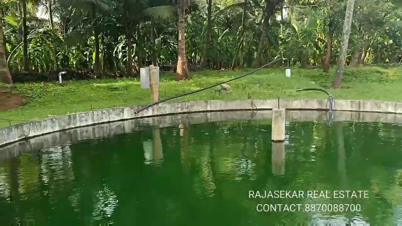 Sold out 7acres  agri land with coconut tree farm house for sale kinathukadavu to Pollachi Road