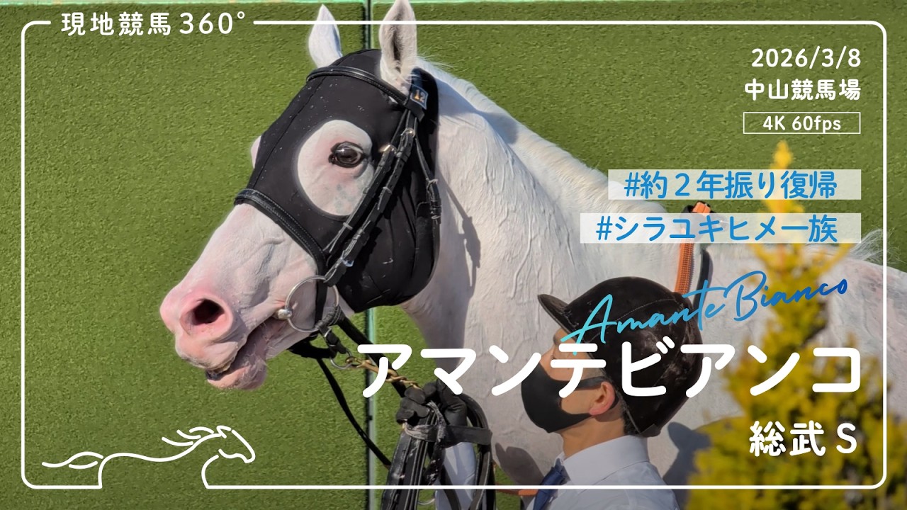 [ 約2年振り ] アマンテビアンコ｜総武S パドック/レース｜2026/3/8 中山競馬場｜4K/60fps