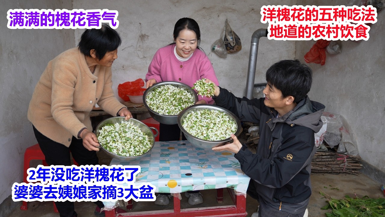 2年没吃洋槐花了，婆婆去姨娘家摘了三大盆，桔子做洋槐花的五种吃法，地道的农村饮食，满满的槐花香气，真香哩 | Five ways to eat locust flowers