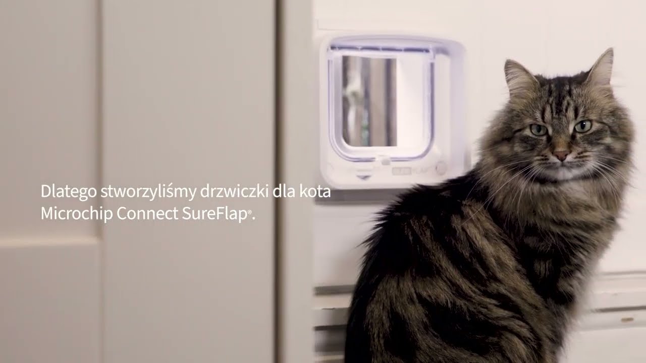 Drzwiczki dla kota microchip Connect SureFlap® - PL