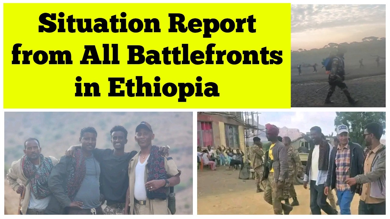 Situation Report from All Battlefronts in Ethiopia