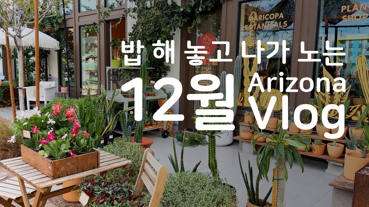 [미국 애리조나 일상] 잠은 여름에 자자 겨울엔 나가서 놀아야지 애리조나는 겨울이 성수기