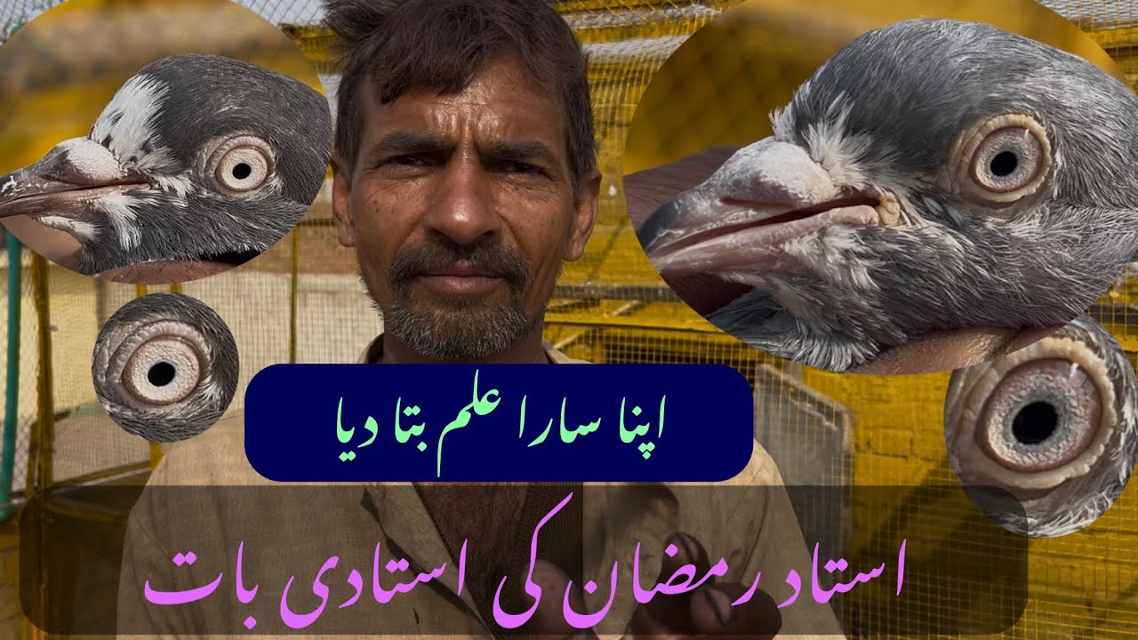Ustad Ramzan Of Kasur Na Ak Jory Say Nasal Bnana Bta Diya 