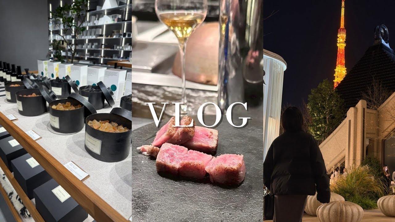 vlog | 結婚2年目夫婦の誕生日ディナーデート🍽️