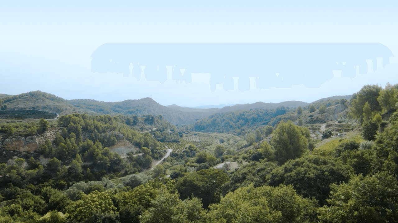 La Cabrent&agrave; de Estubeny, una selva mediterr&aacute;nea #Mediterr&aacute;neoEnAcci&oacute;n