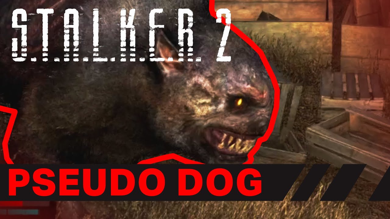 STALKER 2 Псевдо-руководство по собакам!
