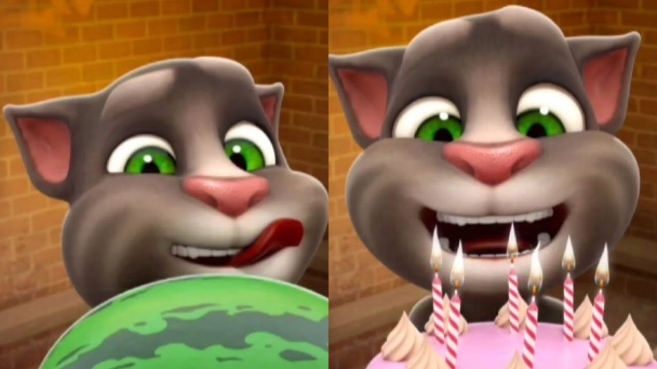 أفضل مقاطع القطط المضحكة 😂 القط توم المتكلم 🎂🍉