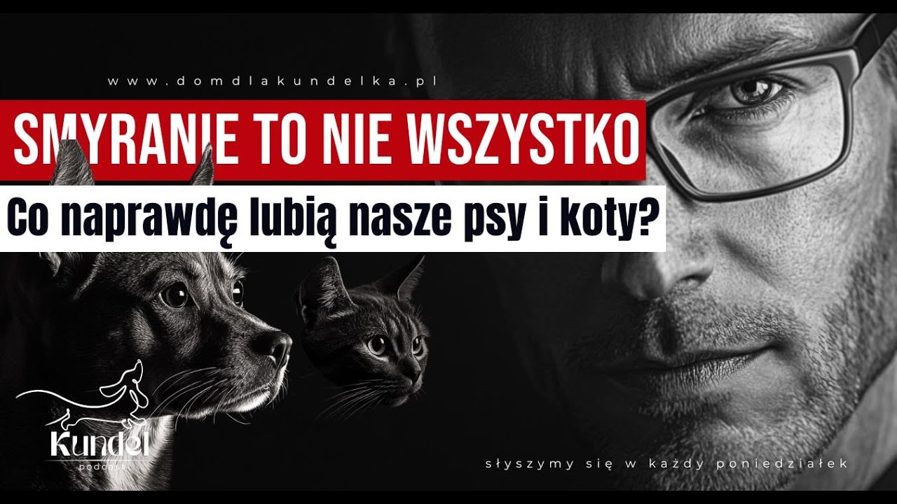 Smyranie to nie wszystko - Co naprawdę lubią nasze psy i koty? #podcast #pies #podkast #kot # koty