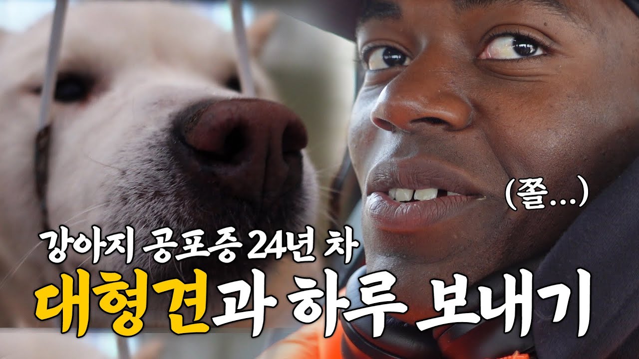 대한흑인 조나단의 보여주기식 유기견 봉사활동
