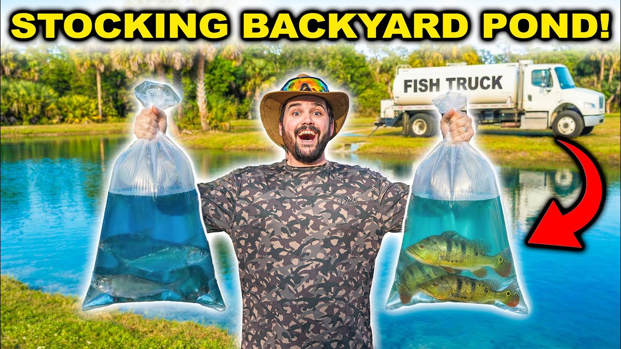 Stocking My FLORIDA BACKYARD POND for the FIRST TIME!!!