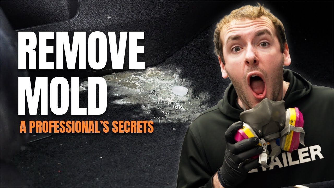 How to Clean Mold Out of Car Interior