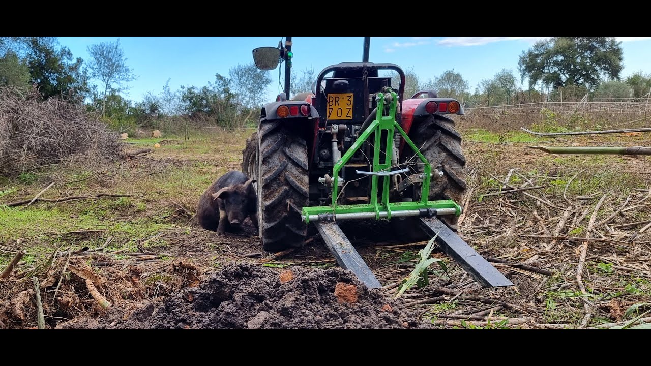 la FORCA PALLET della DSV