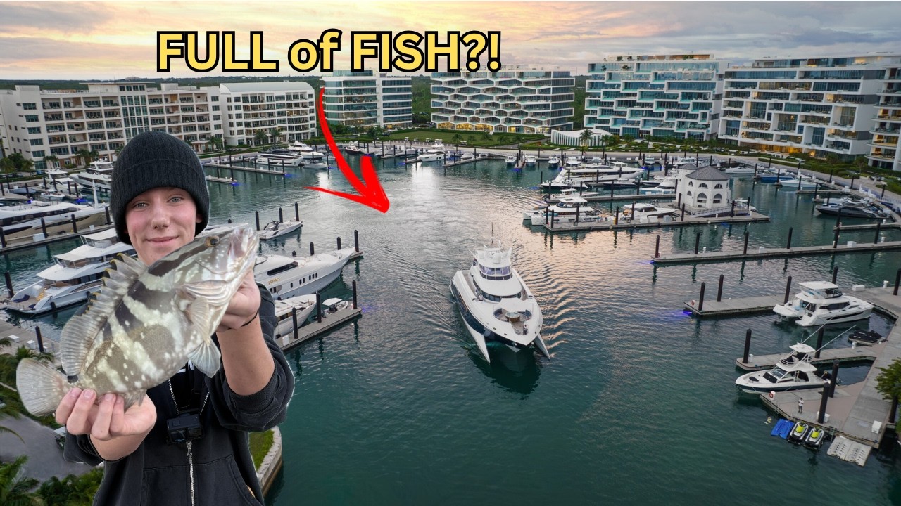 This Bahamas Marina Was FULL of Insane Fish! (CRAZY CATCHES)