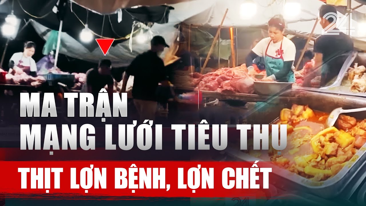 Ma trận mạng lưới tiêu thụ thịt lợn bệnh, lợn chết | VTV24