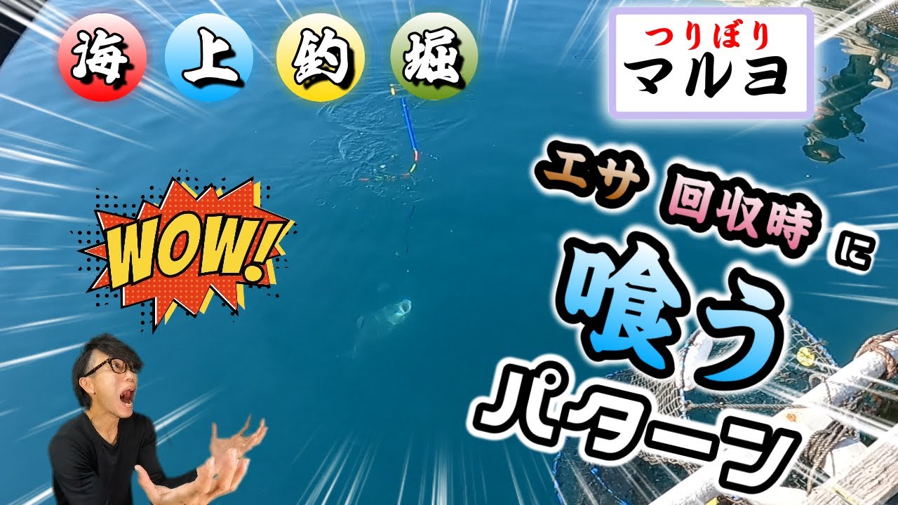 【海上釣堀】初マルヨさん！みん釣りメンバーさんとタケノコカップ🏆開催🎉