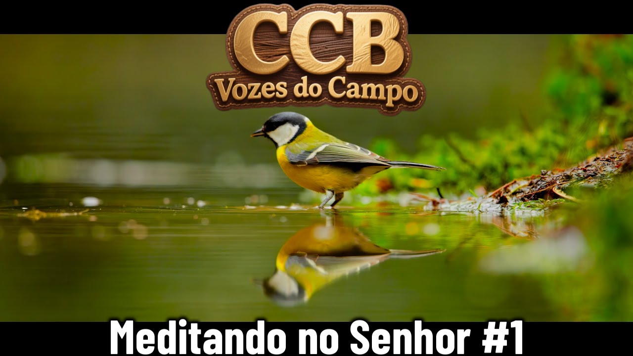 Hinos CCB Vozes do Campo - Para Meditar em Deus Criador - 8K HDR Dolby Vision Sensation